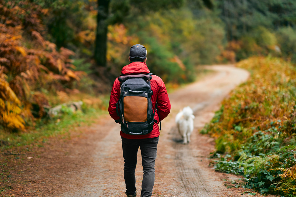 Hiker walking along a scenic trail, highlighting outdoor exercise, adventure, and the benefits of spending time in nature.