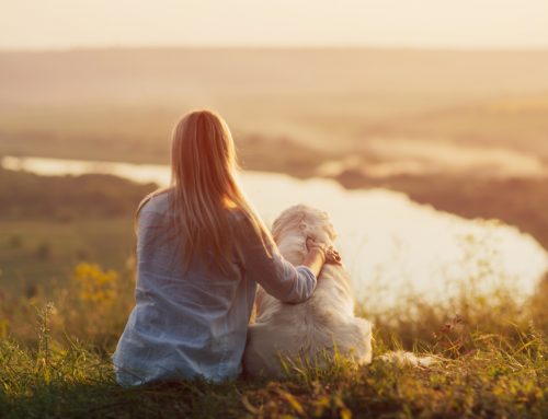 What Dog Owners Should Know Before Heading Out on the Trail